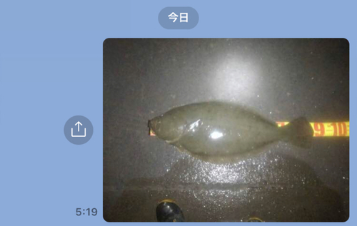 ヒラメの釣果