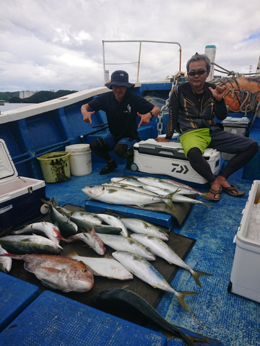 カツオの釣果