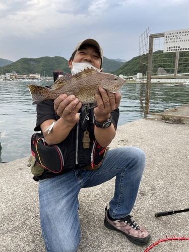 オオモンハタの釣果