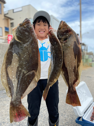 ヒラメの釣果