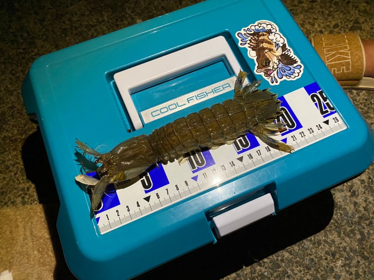 シャコエビ