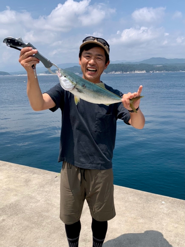 イナダの釣果