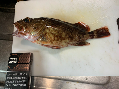 釣果