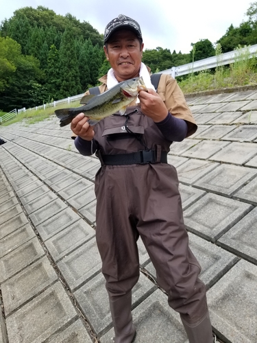 ラージマウスバスの釣果