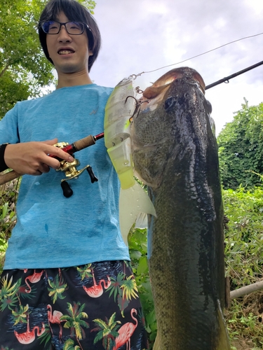 ブラックバスの釣果