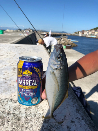 シマアジの釣果