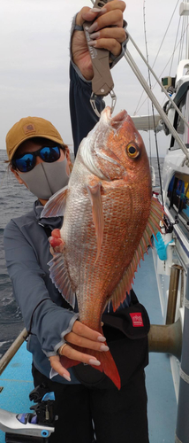 タイの釣果