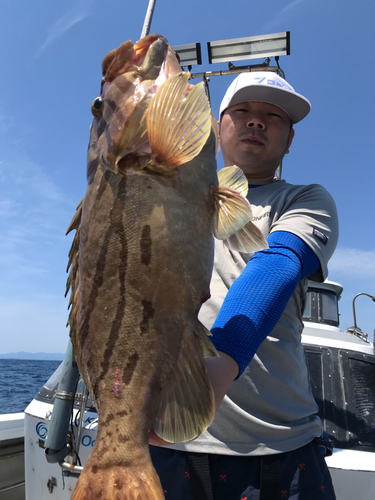 ホウキハタの釣果