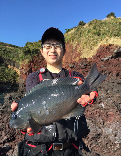 クチブトグレの釣果