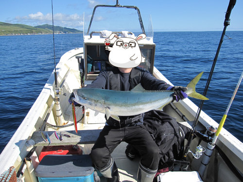 ブリの釣果