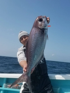 メダイの釣果