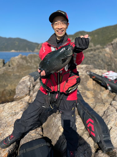 クチブトグレの釣果