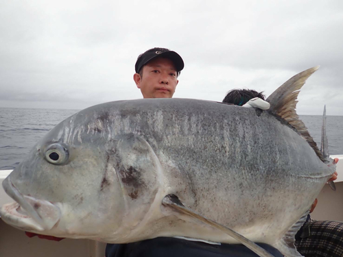 GTの釣果