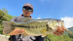 ラージマウスバスの釣果