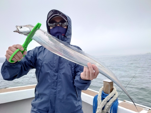 タチウオの釣果