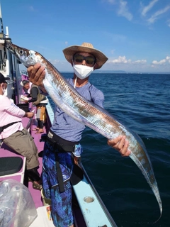 タチウオの釣果