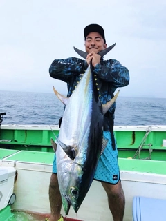 キハダマグロの釣果