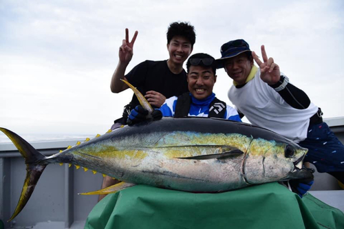 キハダマグロの釣果