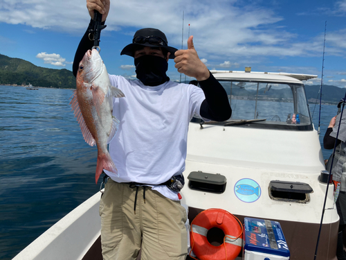 マダイの釣果