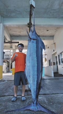 ブルーマーリンの釣果