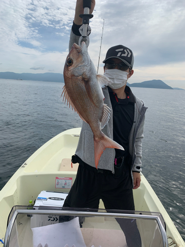 マダイの釣果