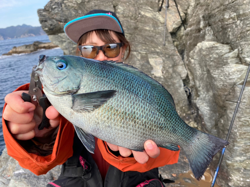 クロの釣果