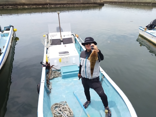 マゴチの釣果