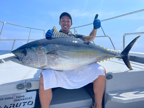 メバチマグロの釣果