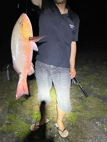 バラフエダイの釣果