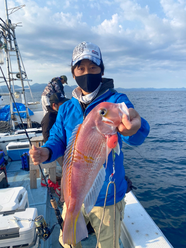 アマダイの釣果