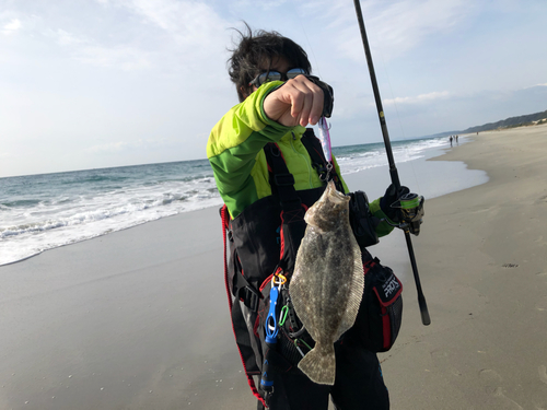 ヒラメの釣果