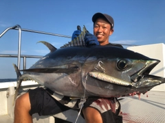 キハダマグロの釣果