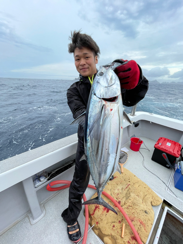 カツオの釣果