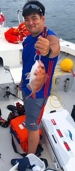 タイの釣果