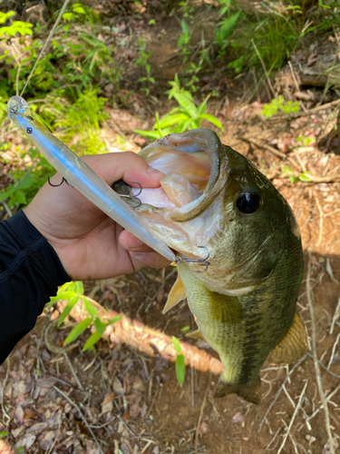 釣果