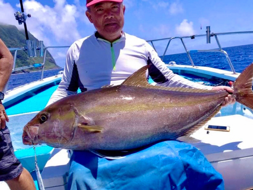 カンパチの釣果