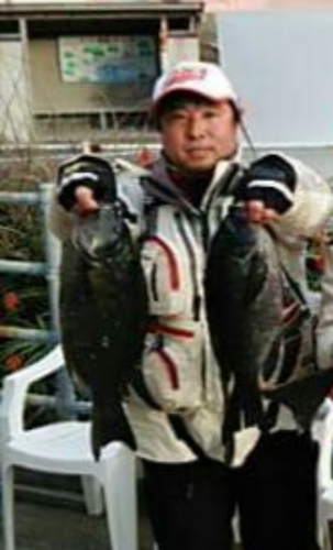 メジナの釣果