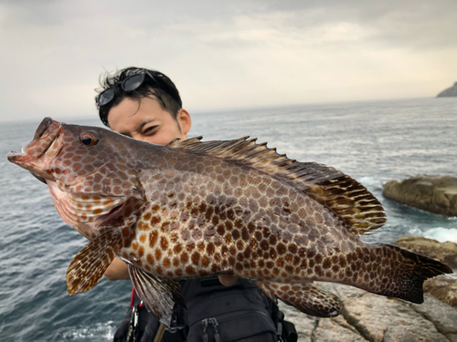 オオモンハタの釣果