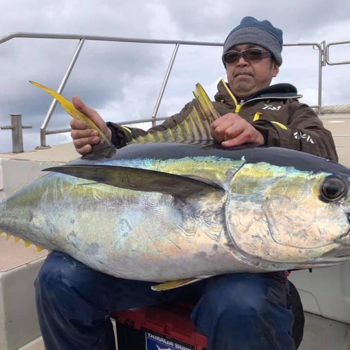 キハダマグロの釣果