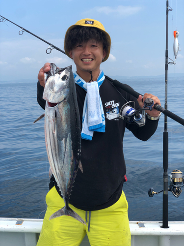 カツオの釣果