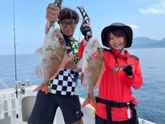 マダイの釣果