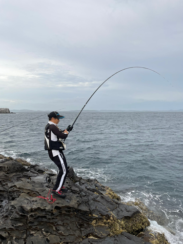 イシダイの釣果