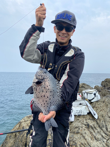 イシガキダイの釣果