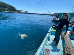 アカエイの釣果