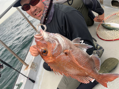 タイの釣果