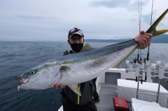 ブリの釣果