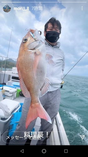 マダイの釣果