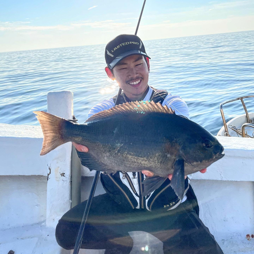 クロの釣果