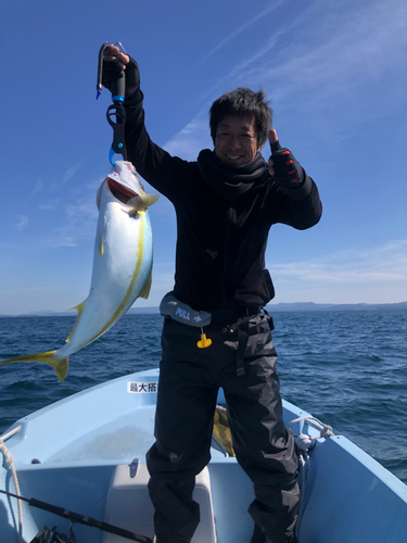 ヒラマサの釣果