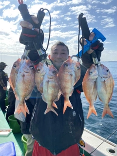 マダイの釣果